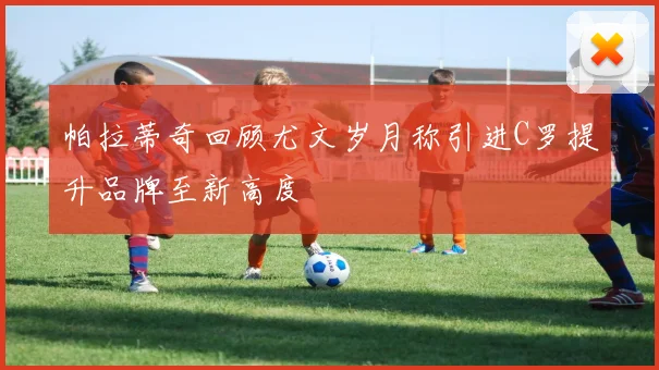 帕拉蒂奇回顾尤文岁月称引进C罗提升品牌至新高度