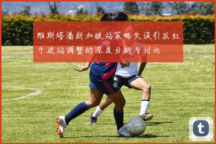 维斯塔潘新加坡站策略失误引发红牛进站调整的深度分析与讨论